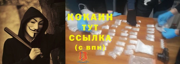 прущие крисы Верея